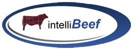 WP Logo